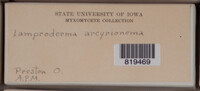 Image Associated With the Occurence